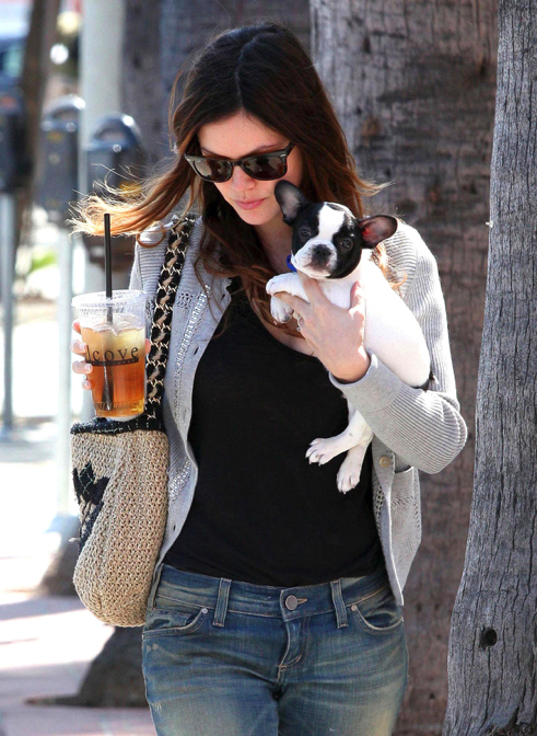 Celebrities with French Bulldogs Rachel Bilson