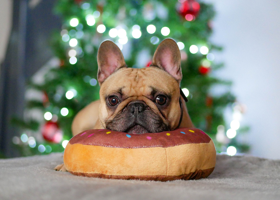 19 French Bulldog Christmas Gifts Your Closest Frenchie ...