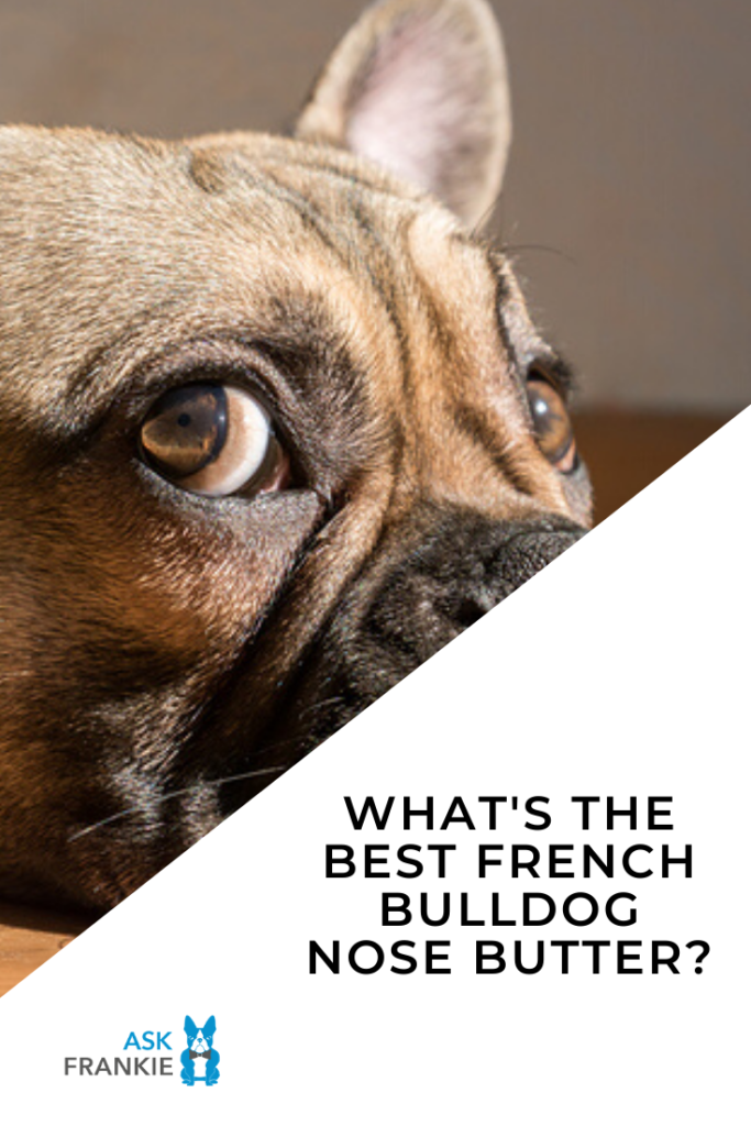 French Bulldog Nose Butter - Pinterest - Ask Frankie