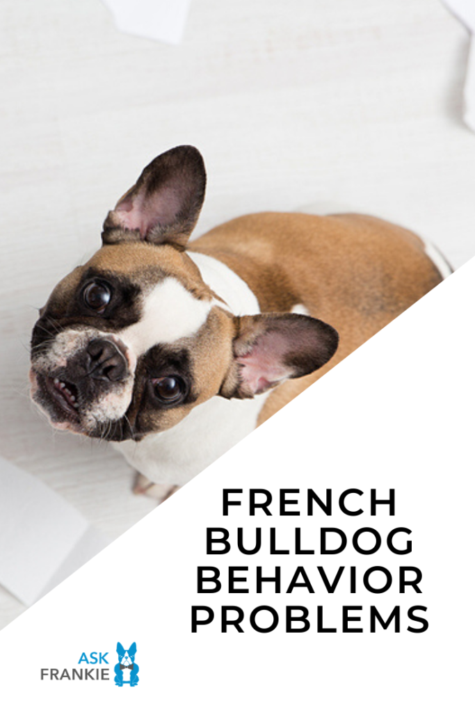 how do you punish a french bulldog