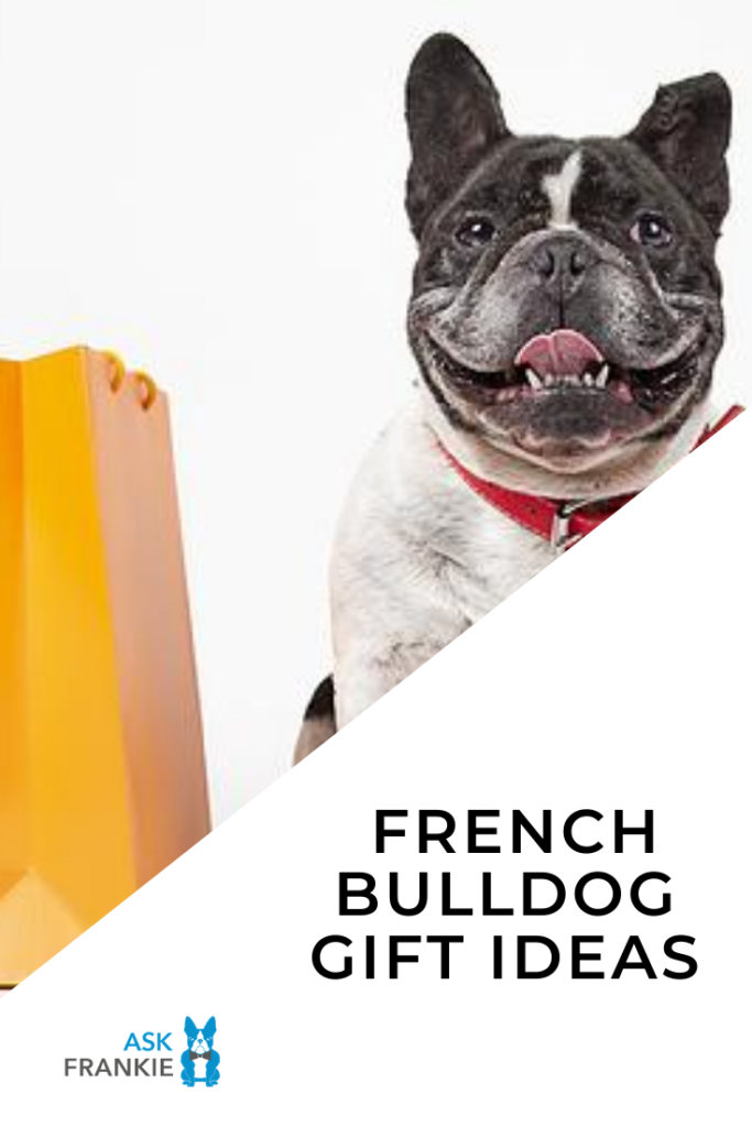 11 Must-Have French Bulldog Gifts For a Frenchie Lover