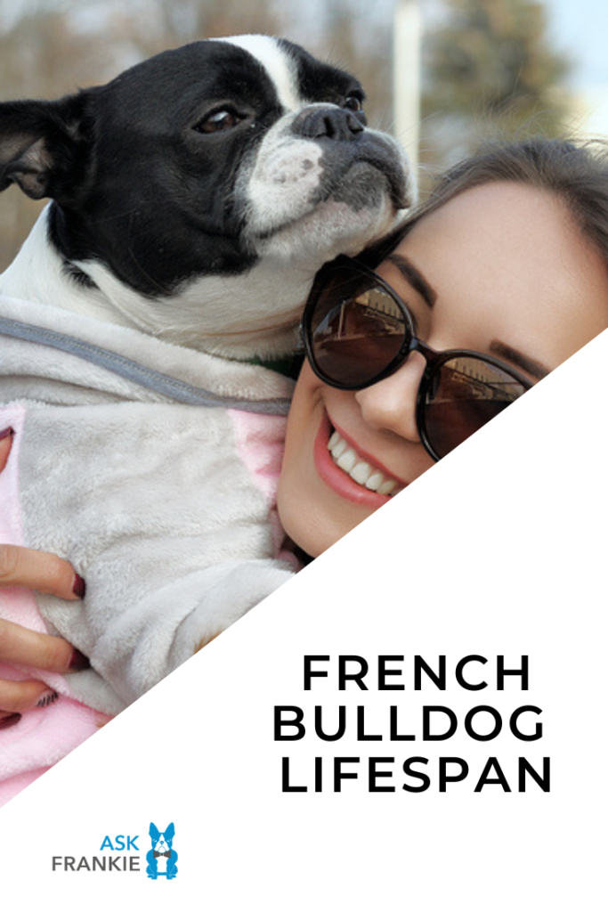 what is the lifespan of a frenchton dog