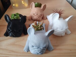 Mini Frenchie Planter - Desktop Planter - Succulent Planter - Indoor Planter - Frenchie Planter - Lazy Dog - Cactus Planter - Desktop Pot